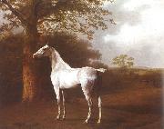 Jacques-Laurent Agasse White Horse in Pasture Germany oil painting artist